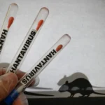 Hantavírus: Como será feito desembarque de passageiros nas ilhas Canárias