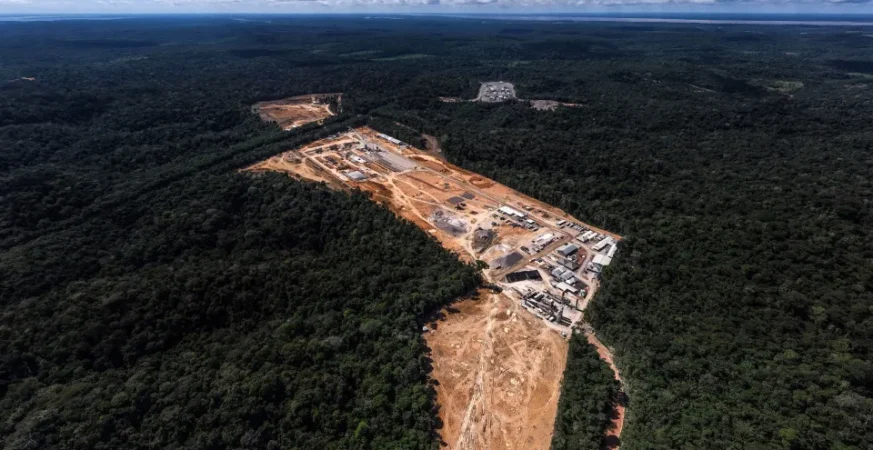 Planeta perdeu mais de 41 milhões de hectares de florestas em 10 anos
