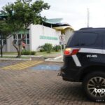 Paraná Pesquisas: Marina e Tebet lideram corrida ao Senado por SP