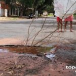 Tereza volta ao radar para presidência e Simone ganha apoio de Lula para o Senado em São Paulo