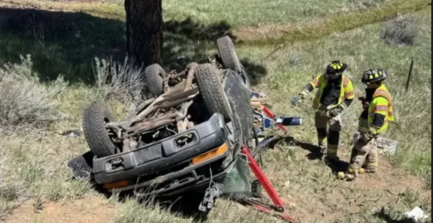 Menina de 5 anos sobrevive após passar 30 horas ao lado dos pais mortos