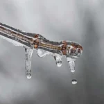 Frio persiste com risco de geada no Sul e Sudeste
