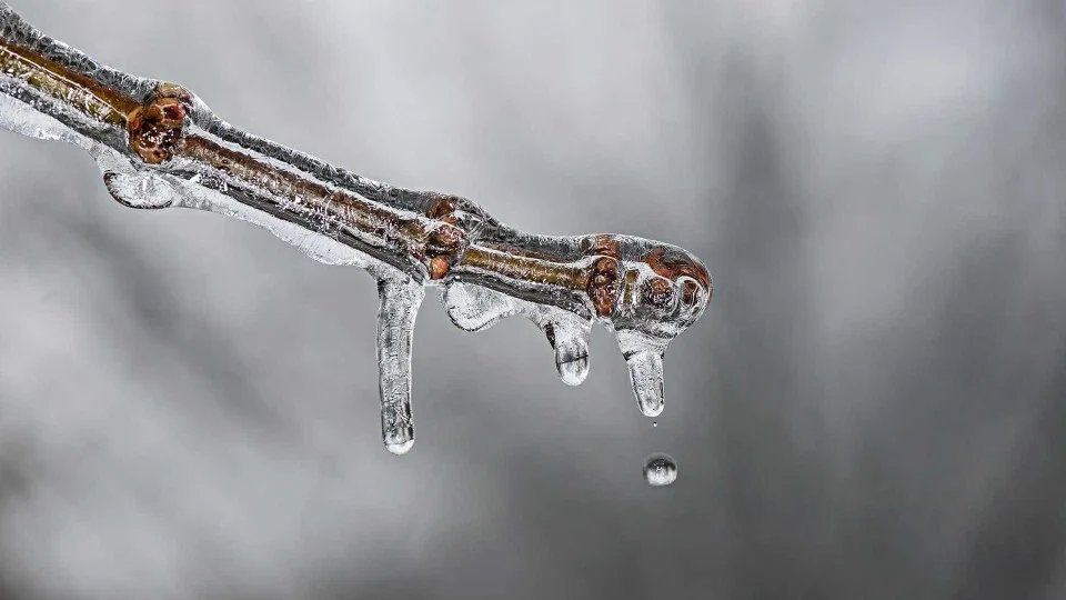 Frio persiste com risco de geada no Sul e Sudeste