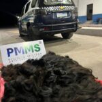 POLÍCIA MILITAR INTERVÉM EM CASO GRAVE DE VIOLÊNCIA DOMÉSTICA E APREENDE MUNIÇÕES EM CORUMBÁ