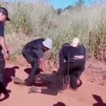 Ensino técnico vira o ‘queridinho’ dos alunos e acompanha mercado em MS, revela secretário (vídeo)