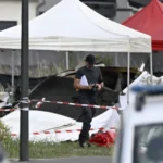 Queda de avião no nordeste da França mata 11 pessoas