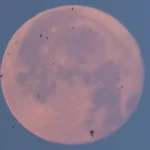 Lua de Morango poderá ser vista nesta segunda-feira; saiba como observar