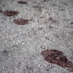 Menino autista de 11 anos morre ao cair do 5º andar de prédio em Manaus