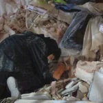 Lula oferece apoio à Venezuela após terremoto e avalia assistência