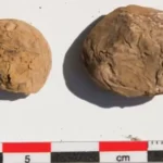 Cientistas acham batatas congeladas há 500 anos, e aparência surpreende