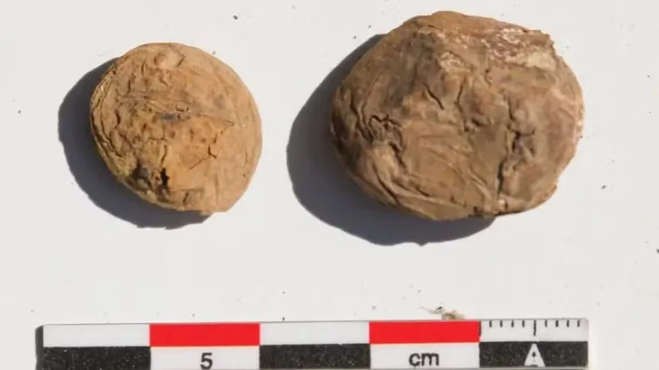 Cientistas acham batatas congeladas há 500 anos, e aparência surpreende