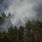 Incêndio na Espanha queima 13 mil hectares e expulsa centenas de casa