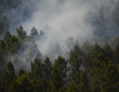 Incêndio na Espanha queima 13 mil hectares e expulsa centenas de casa