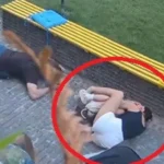Imagens da guerra: Mãe abraça e protege filha durante ataque russo a Sumy