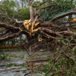 China aguarda chegada de tufão enquanto ainda resgata vítimas da última tempestade