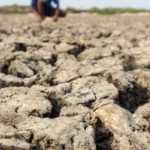 Chance de El Niño muito forte no final do ano sobe para 81%, diz agência americana