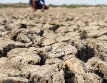 Chance de El Niño muito forte no final do ano sobe para 81%, diz agência americana