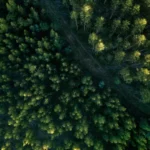 Como é o projeto, aprovado no Congresso, que reduz em 37% proteção de floresta na Amazônia