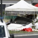 França: famílias presenciaram queda de avião que matou 11 pessoas; veja