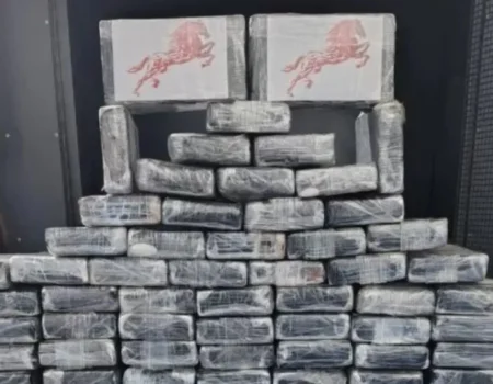 Avião com dois corpos e carga de cocaína é encontrado caído em MT