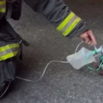 Pombo recebe oxigênio de bombeiros após inalar fumaça em incêndio; veja
